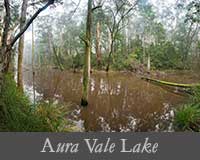 button image for Aura Vale Lake Gallery