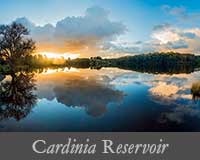 button image for Cardinia Gallery