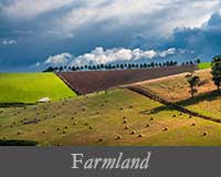 button image for Farmland Gallery