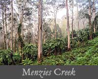 button image for Menzies Creek Gallery