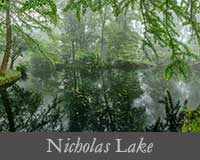 button image for Nicholas Lake Gallery