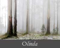 button image for Olinda Gallery