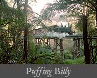 button image for Puffing Billy Gallery