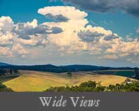 button image for Wide Views Gallery
